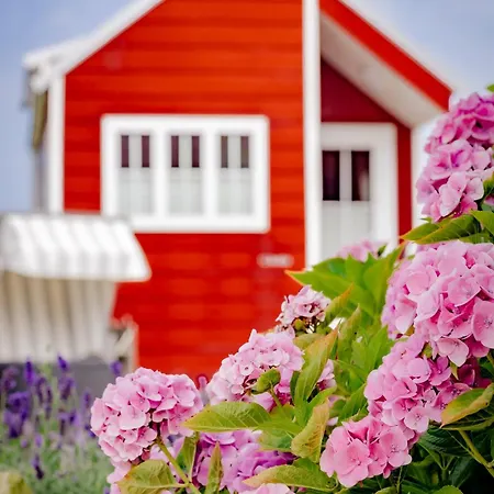 Schild Tatil Evi Schillig
